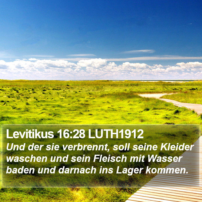 Levitikus 16:28 LUTH1912 Bible Study