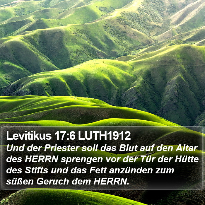 Levitikus 17:6 LUTH1912 Bible Study
