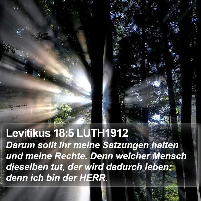 Levitikus 18:5 LUTH1912 Bible Study