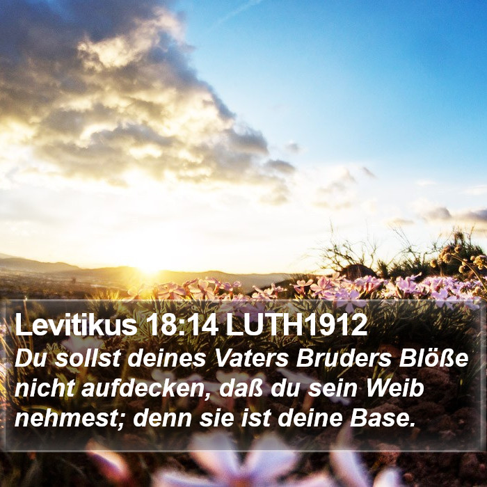 Levitikus 18:14 LUTH1912 Bible Study