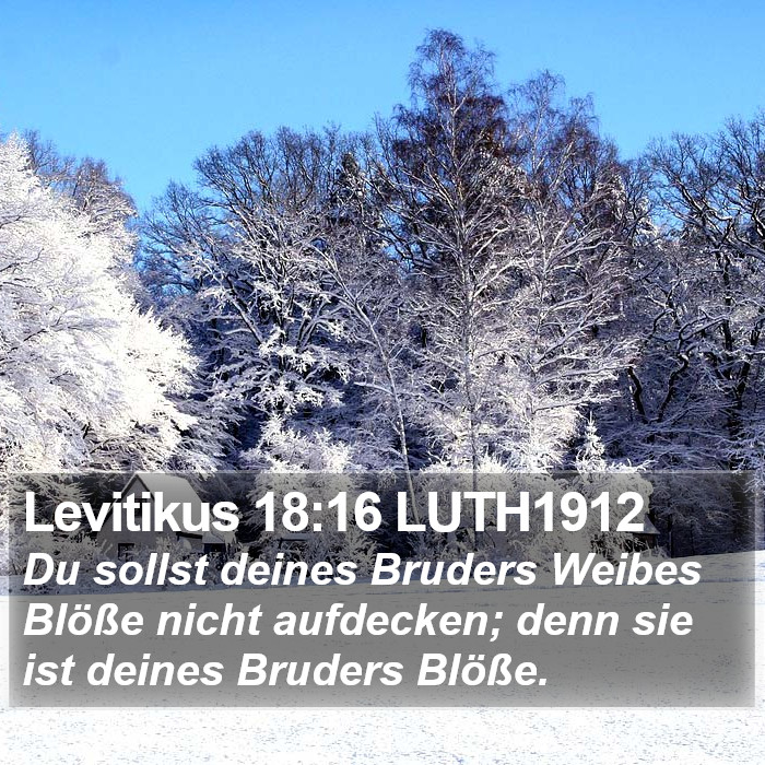 Levitikus 18:16 LUTH1912 Bible Study