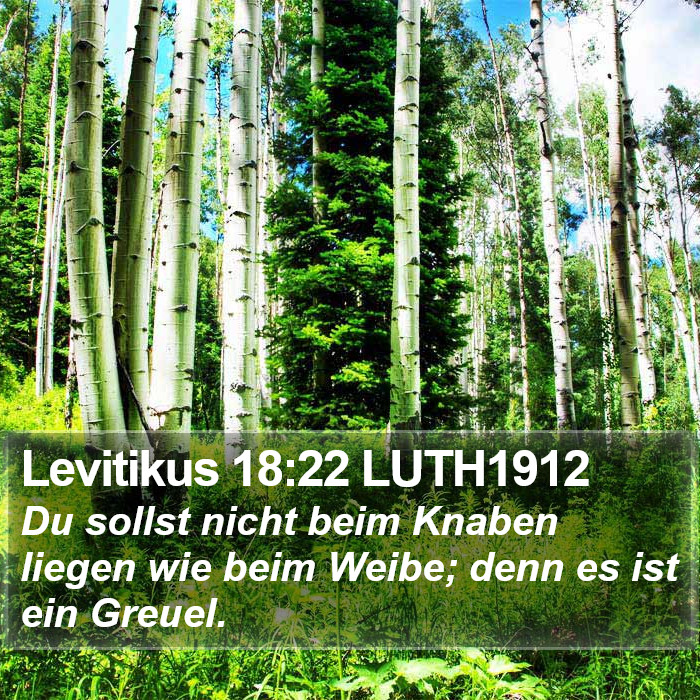 Levitikus 18:22 LUTH1912 Bible Study