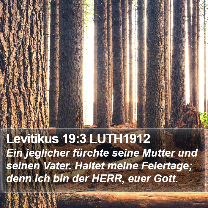 Levitikus 19:3 LUTH1912 Bible Study