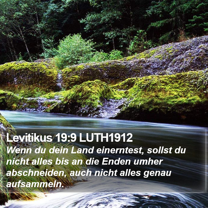 Levitikus 19:9 LUTH1912 Bible Study