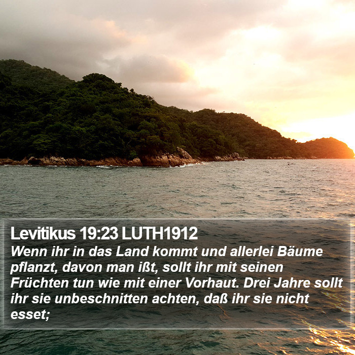 Levitikus 19:23 LUTH1912 Bible Study