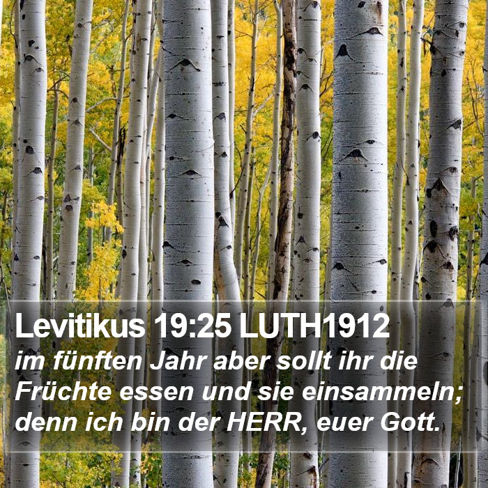Levitikus 19:25 LUTH1912 Bible Study