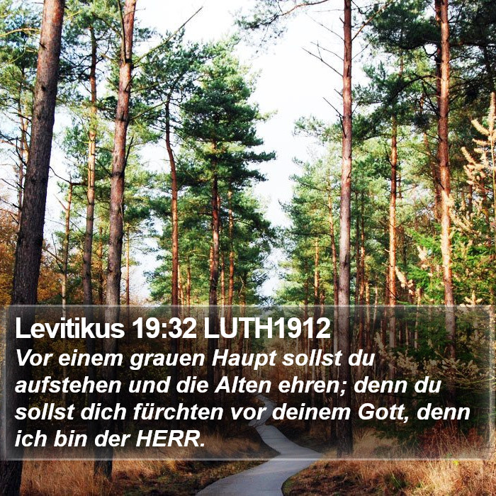 Levitikus 19:32 LUTH1912 Bible Study