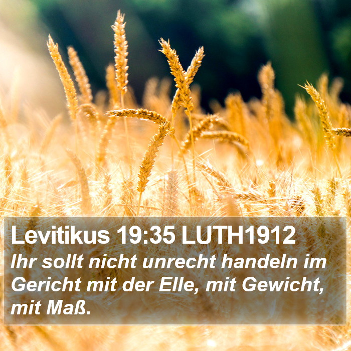 Levitikus 19:35 LUTH1912 Bible Study