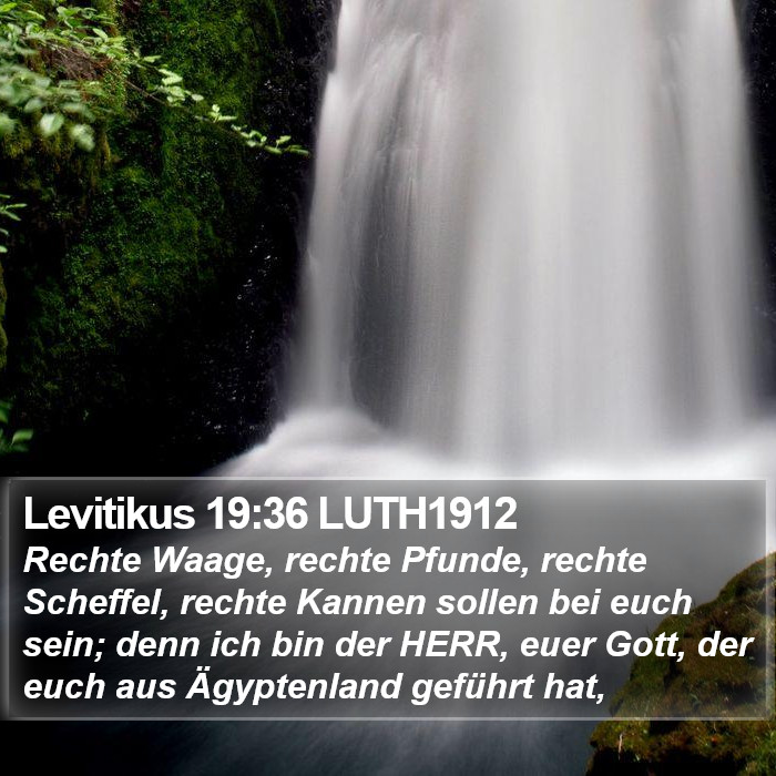 Levitikus 19:36 LUTH1912 Bible Study