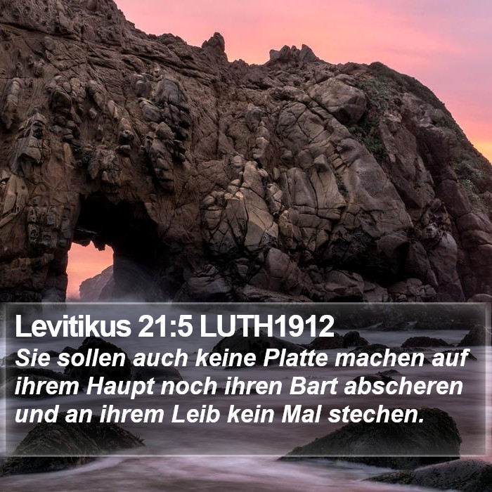 Levitikus 21:5 LUTH1912 Bible Study