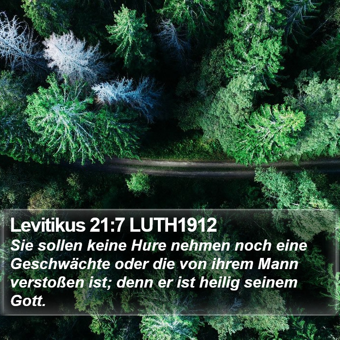 Levitikus 21:7 LUTH1912 Bible Study