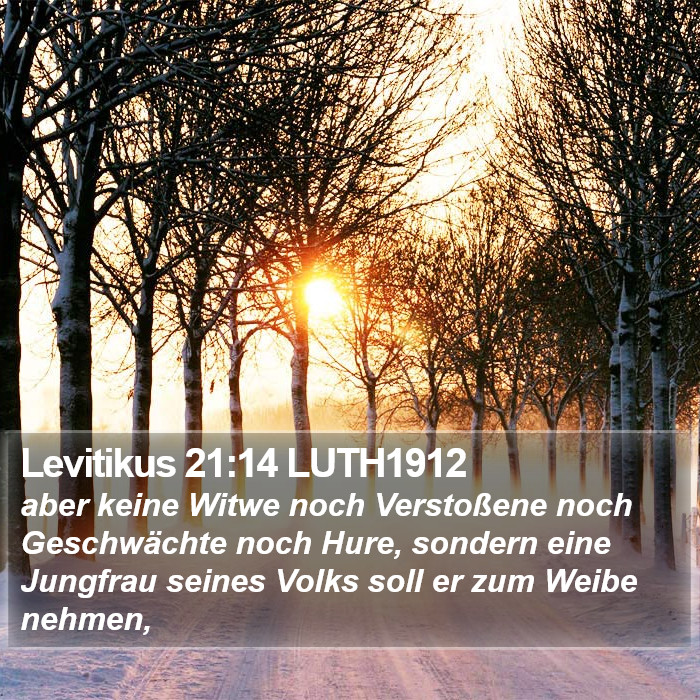 Levitikus 21:14 LUTH1912 Bible Study