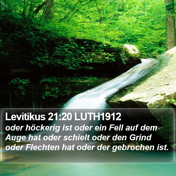 Levitikus 21:20 LUTH1912 Bible Study