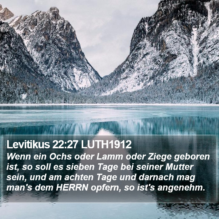 Levitikus 22:27 LUTH1912 Bible Study