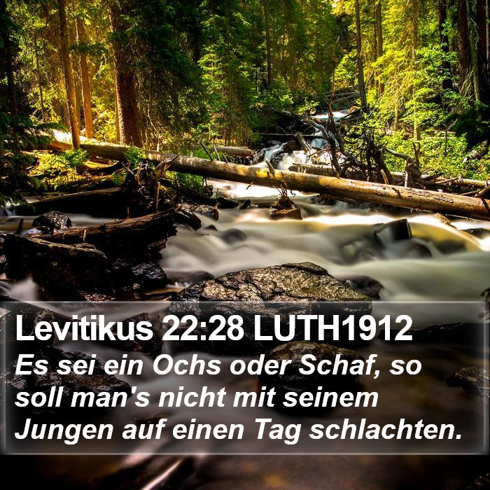 Levitikus 22:28 LUTH1912 Bible Study