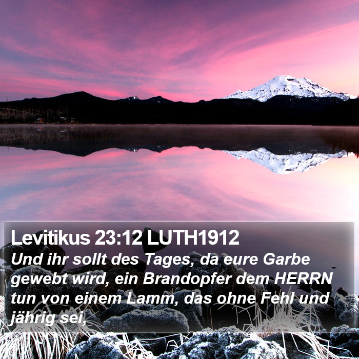 Levitikus 23:12 LUTH1912 Bible Study