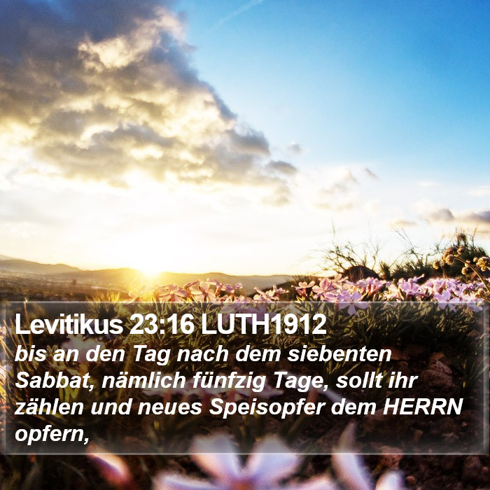 Levitikus 23:16 LUTH1912 Bible Study