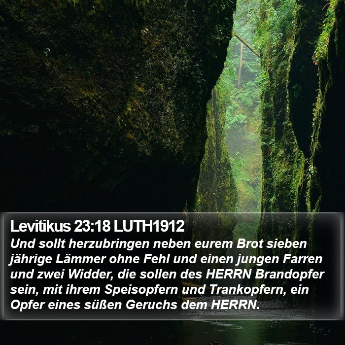 Levitikus 23:18 LUTH1912 Bible Study