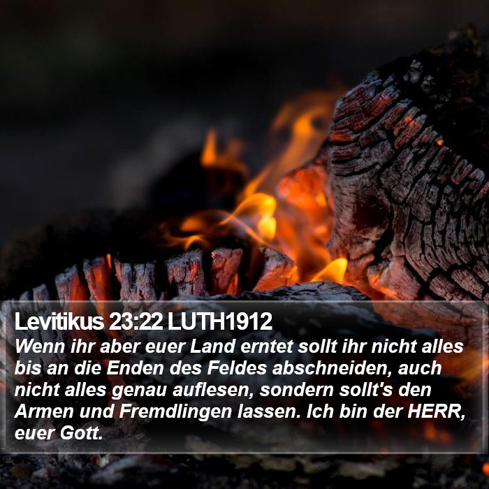 Levitikus 23:22 LUTH1912 Bible Study
