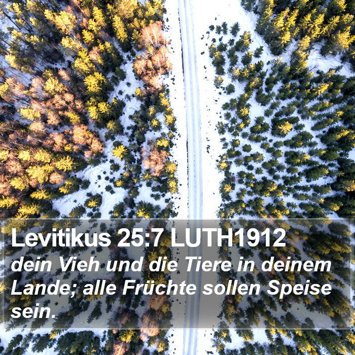 Levitikus 25:7 LUTH1912 Bible Study