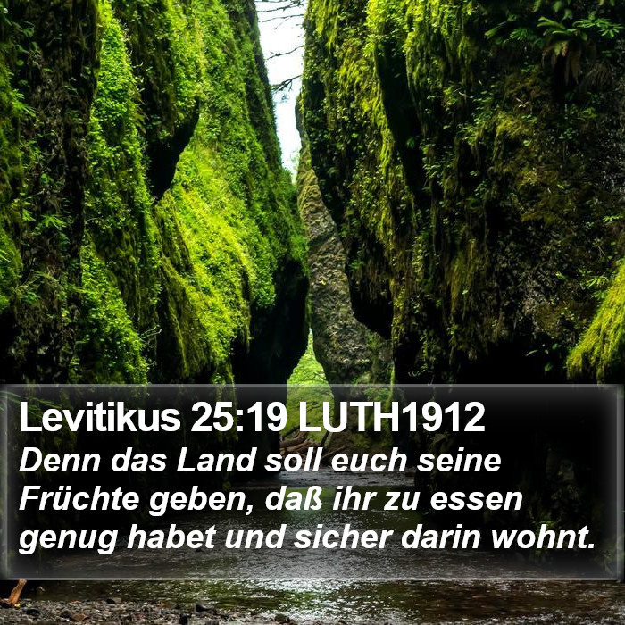 Levitikus 25:19 LUTH1912 Bible Study