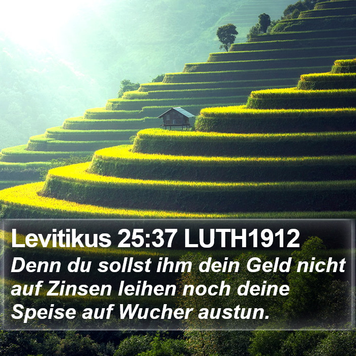 Levitikus 25:37 LUTH1912 Bible Study