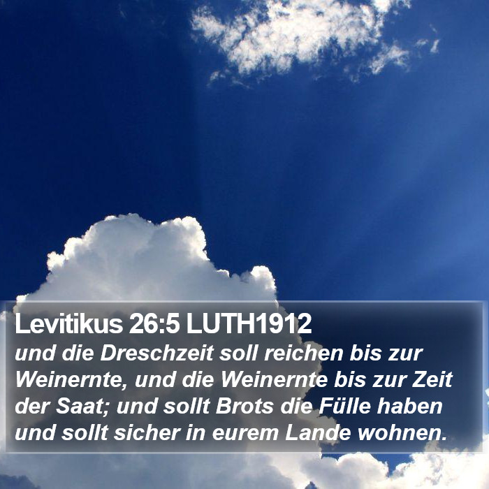 Levitikus 26:5 LUTH1912 Bible Study