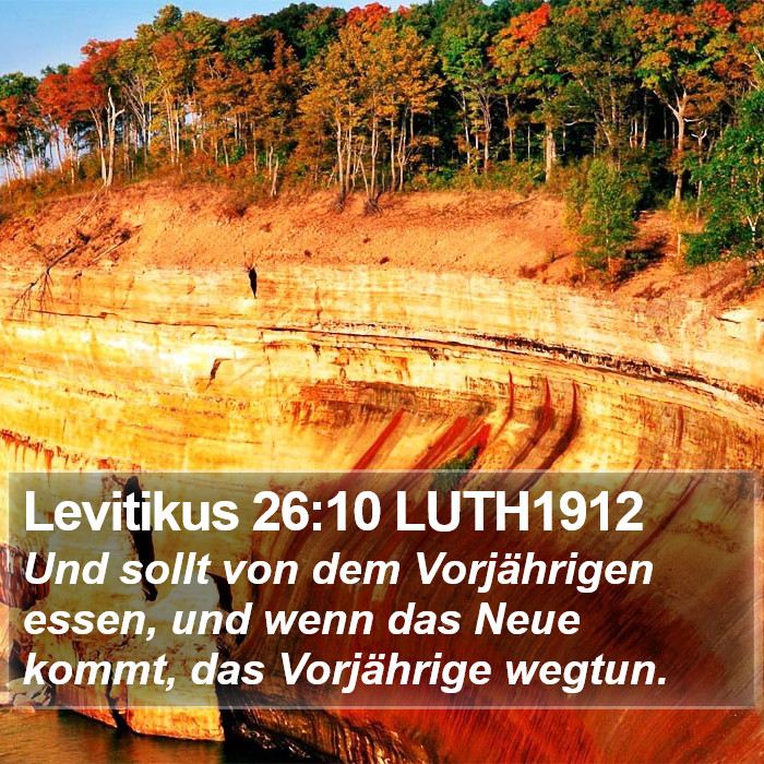 Levitikus 26:10 LUTH1912 Bible Study