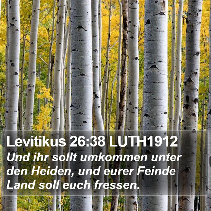 Levitikus 26:38 LUTH1912 Bible Study