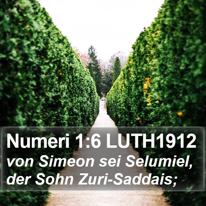 Numeri 1:6 LUTH1912 Bible Study