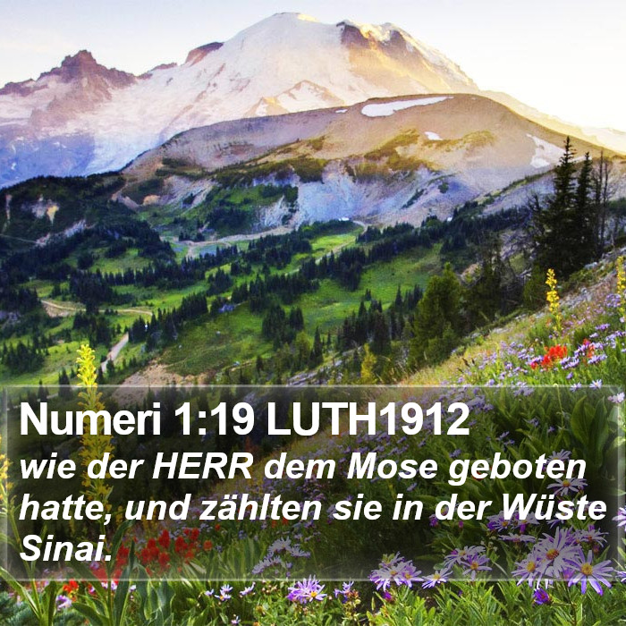 Numeri 1:19 LUTH1912 Bible Study