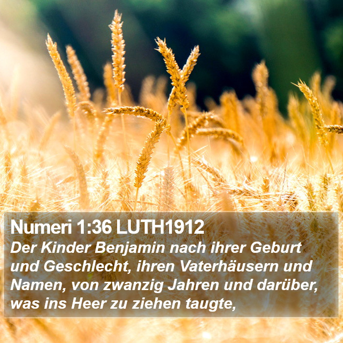 Numeri 1:36 LUTH1912 Bible Study