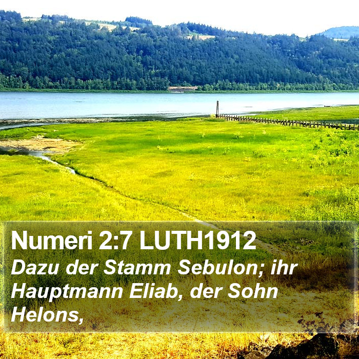 Numeri 2:7 LUTH1912 Bible Study