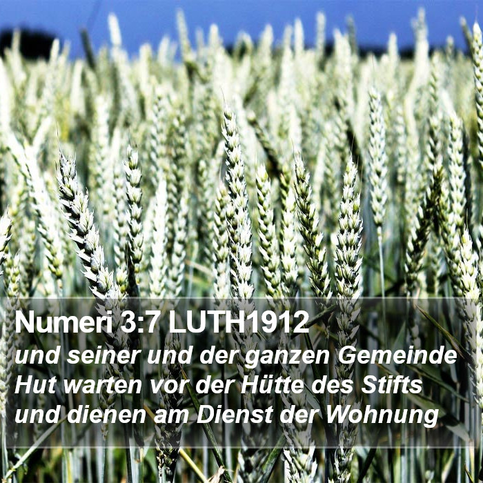 Numeri 3:7 LUTH1912 Bible Study