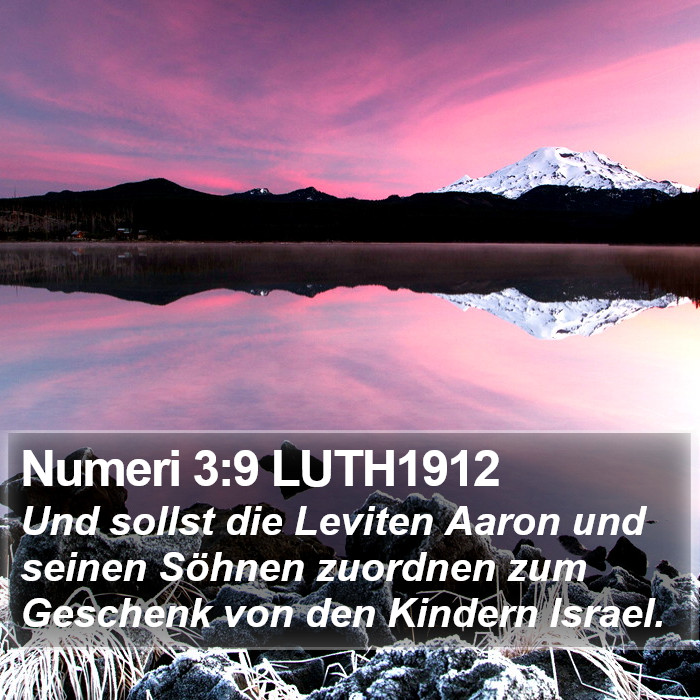 Numeri 3:9 LUTH1912 Bible Study