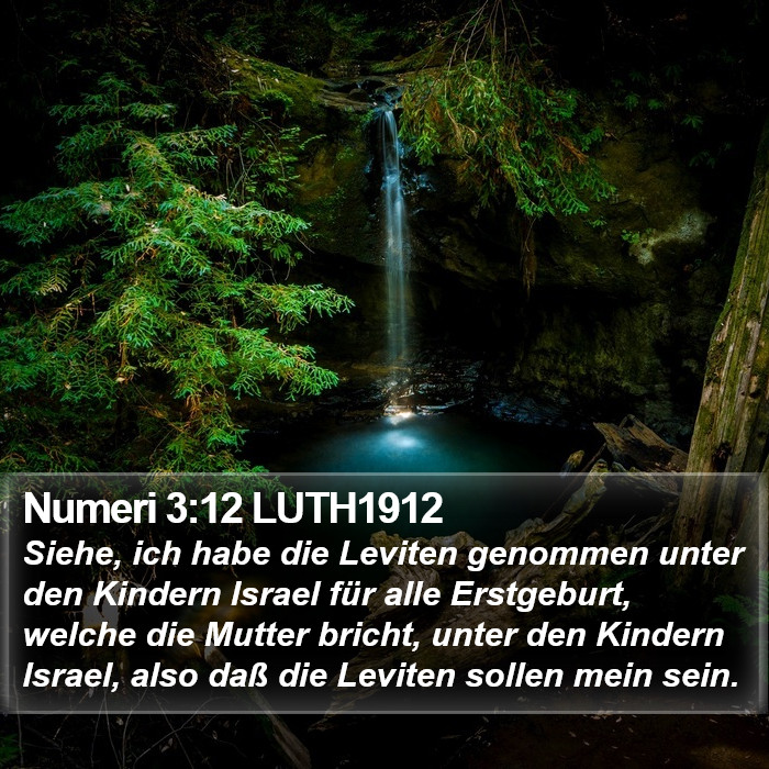 Numeri 3:12 LUTH1912 Bible Study