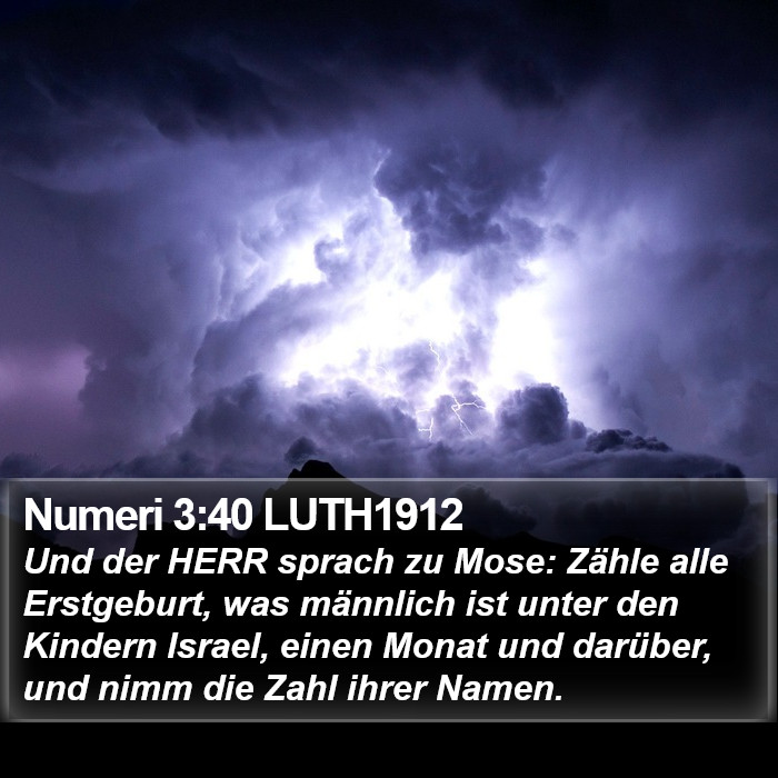 Numeri 3:40 LUTH1912 Bible Study
