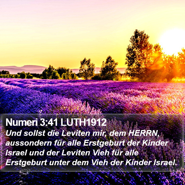 Numeri 3:41 LUTH1912 Bible Study