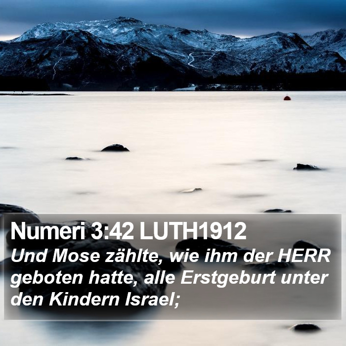 Numeri 3:42 LUTH1912 Bible Study