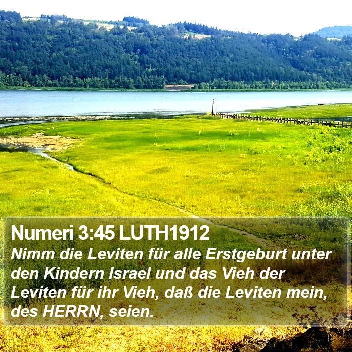 Numeri 3:45 LUTH1912 Bible Study