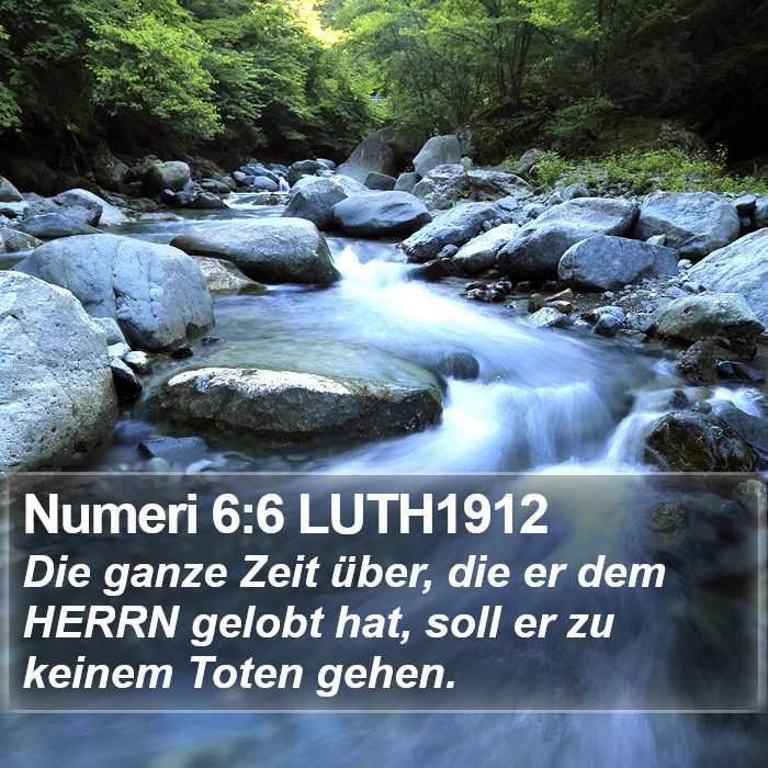 Numeri 6:6 LUTH1912 Bible Study