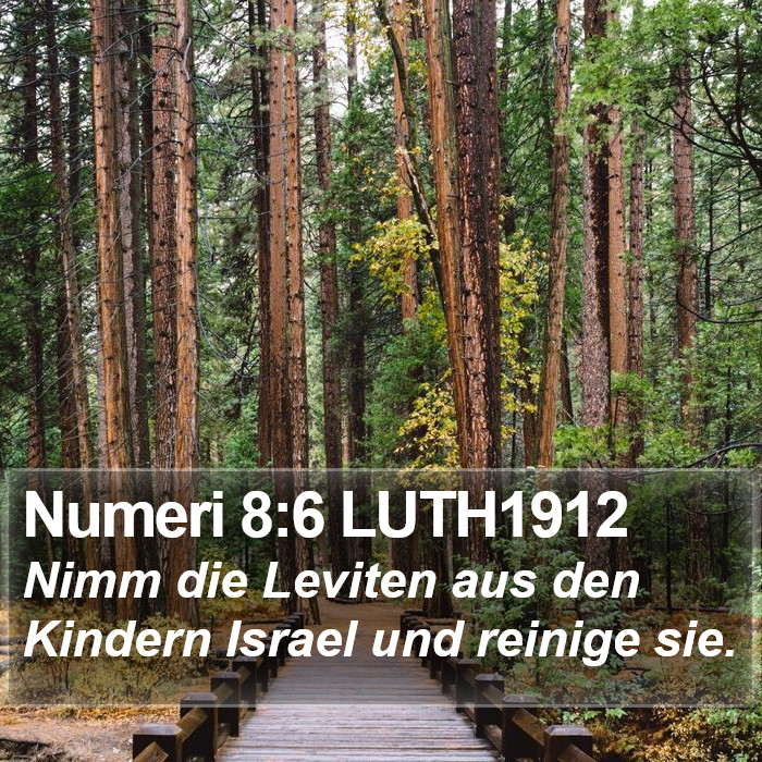 Numeri 8:6 LUTH1912 Bible Study