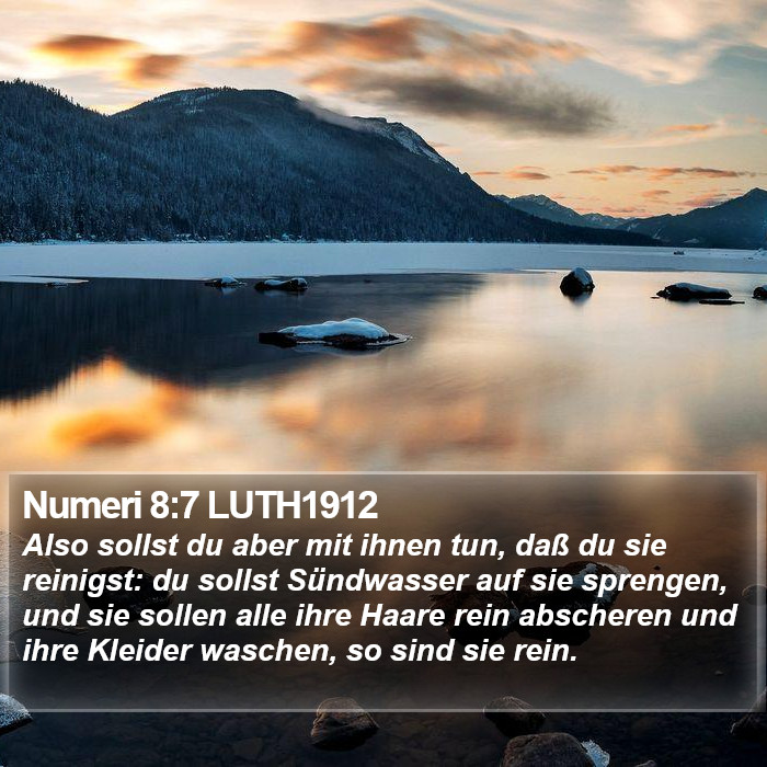 Numeri 8:7 LUTH1912 Bible Study