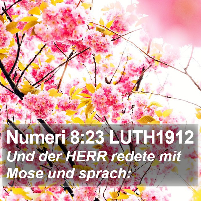 Numeri 8:23 LUTH1912 Bible Study