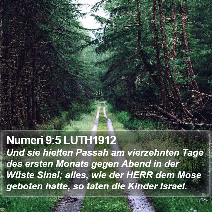 Numeri 9:5 LUTH1912 Bible Study