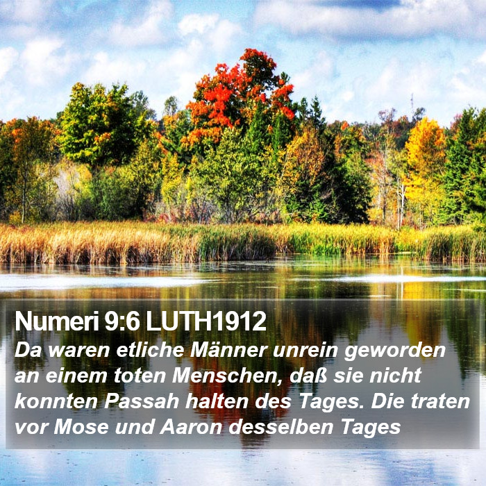 Numeri 9:6 LUTH1912 Bible Study