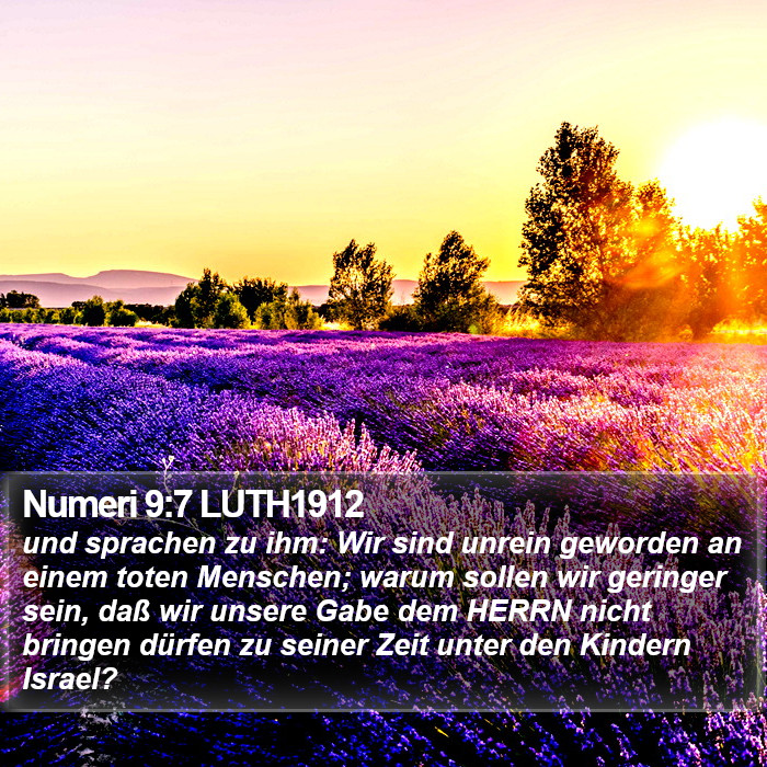Numeri 9:7 LUTH1912 Bible Study