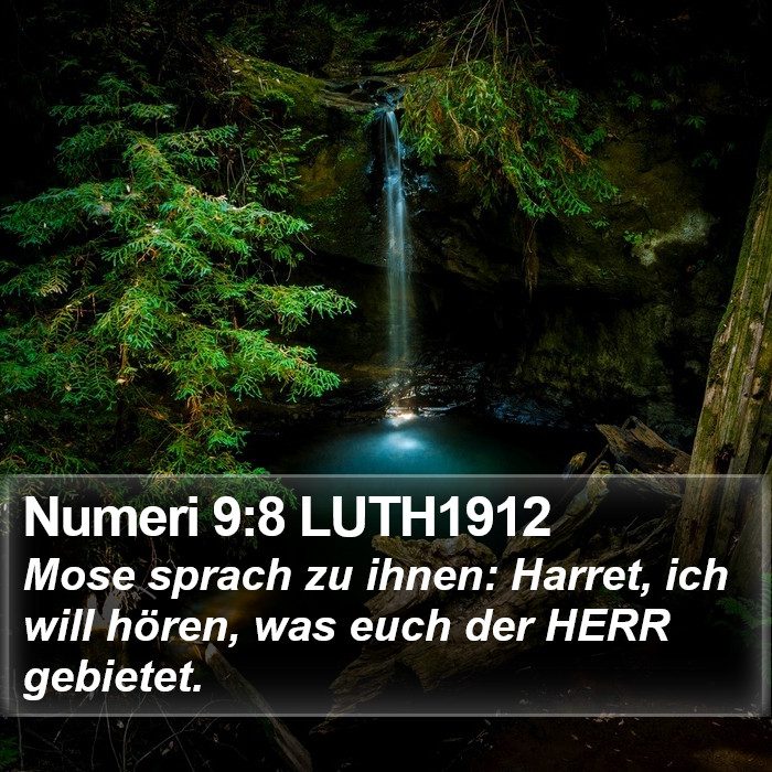 Numeri 9:8 LUTH1912 Bible Study
