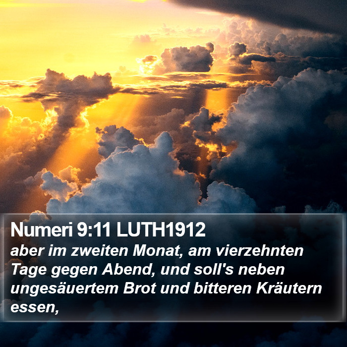 Numeri 9:11 LUTH1912 Bible Study