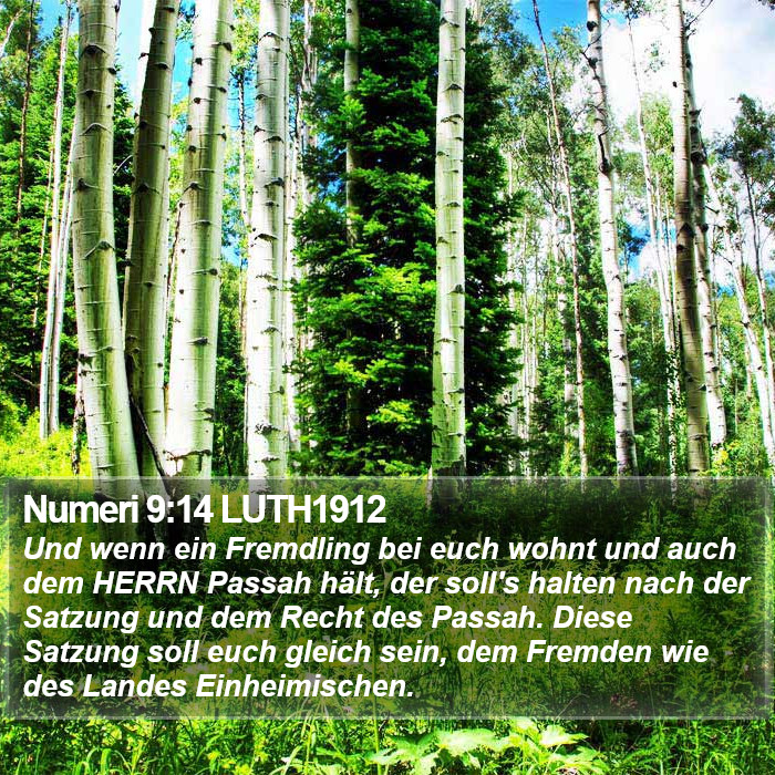 Numeri 9:14 LUTH1912 Bible Study